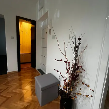 Spacious Luxury Urban Relaxation